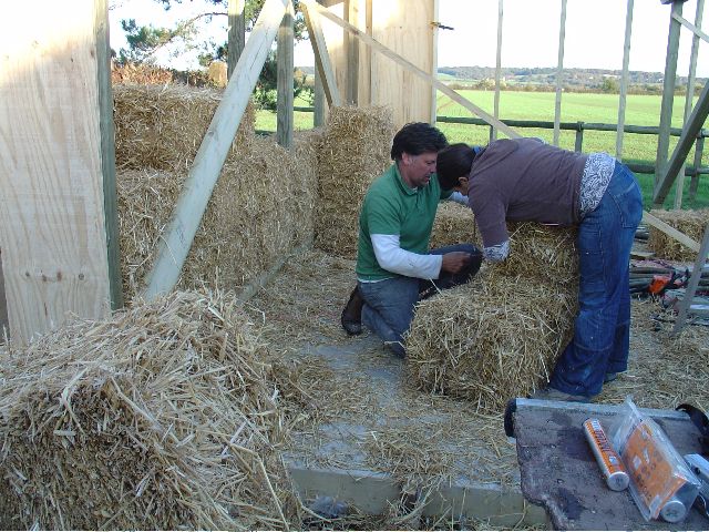 Green roofs and strawbale