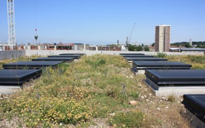 Laban – the story of the original rubble/brown roof