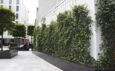 Green wall and Bird Boxes – City of London