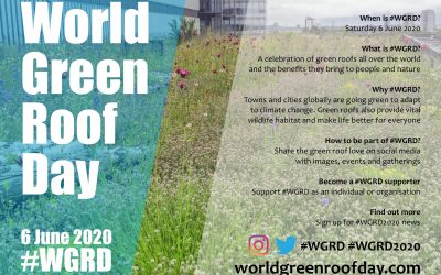 World green roof day 2020 – celebrating green roofs.